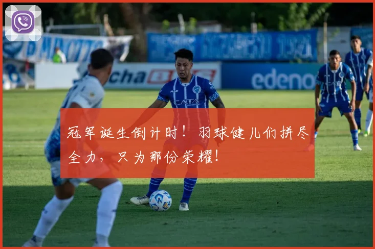 冠军诞生倒计时!羽球健儿们拼尽全力,只为那份荣耀!